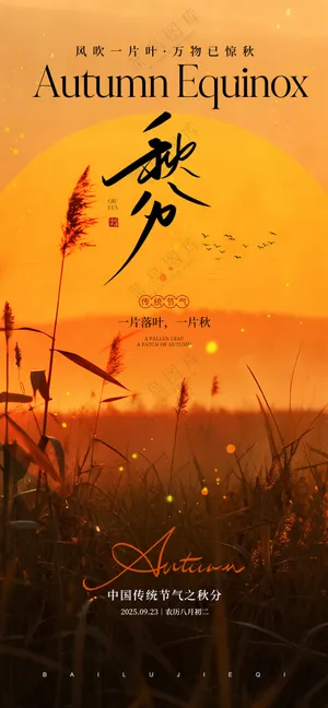 秋分节气宣传海报