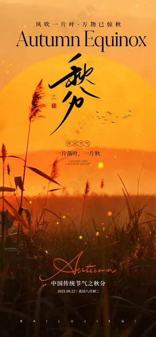 秋分节气宣传海报
