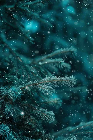 冬天森林里的松针树寒冷霜降摄影图