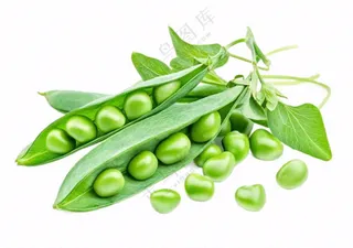 豌豆青豆蔬菜免抠