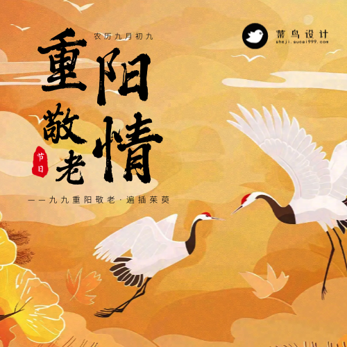 重阳节敬老公众号次图