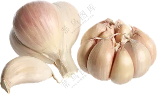 优选品质的大蒜与蒜瓣免抠图片素材