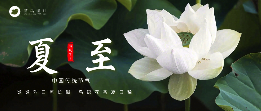 夏至公众号首图