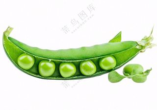 豌豆青豆蔬菜免抠