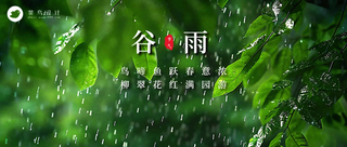 谷雨公众号首图