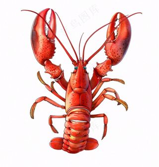 大龙虾海洋海鲜卡通插画免抠