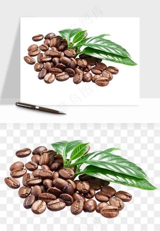 咖啡豆png免抠