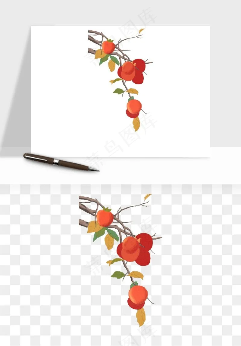 手绘柿子树秋png免抠
