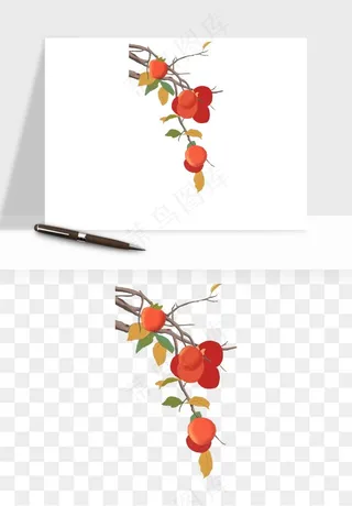手绘柿子树秋png免抠