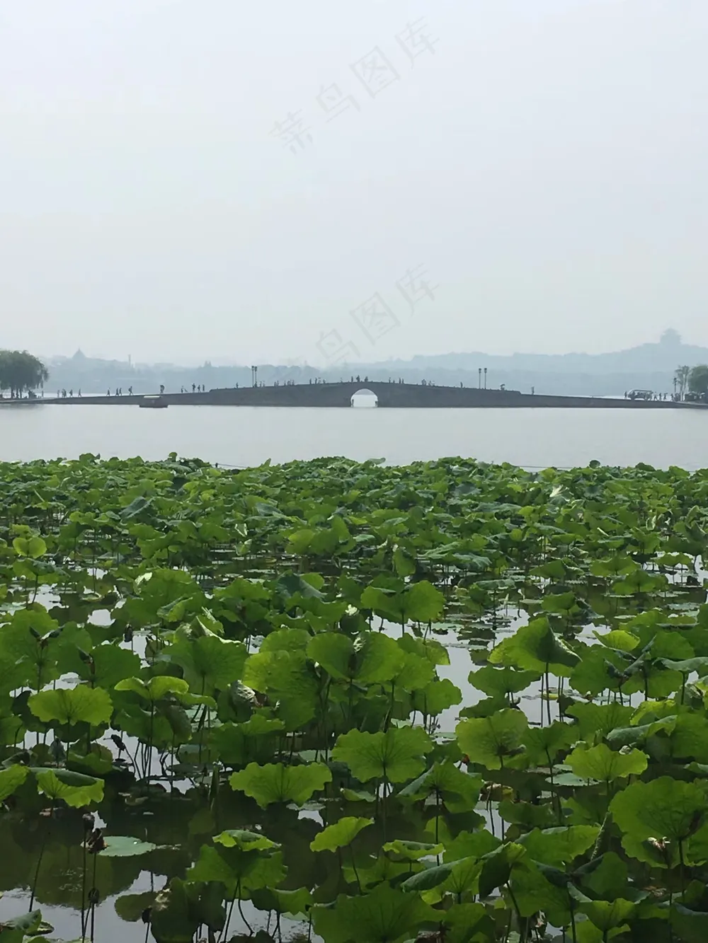 碧水青莲玉西湖日记
