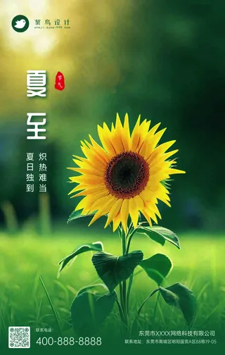 夏至手机海报