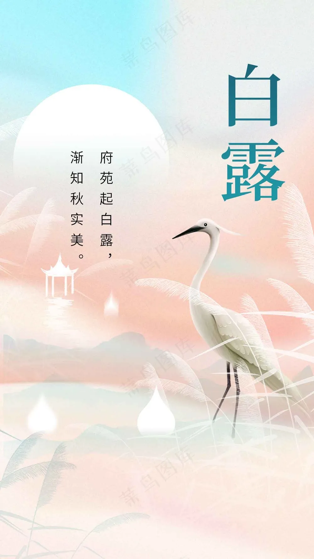 白露节气传统活动宣传海报