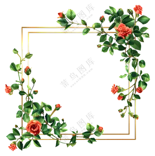 美丽的玫瑰花边框