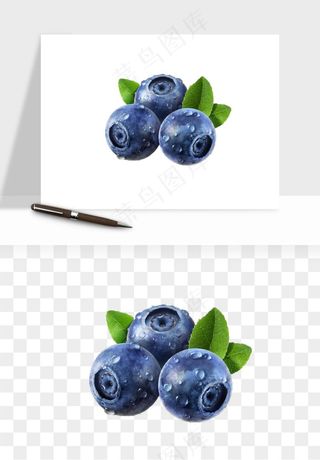 蓝莓水果png免抠