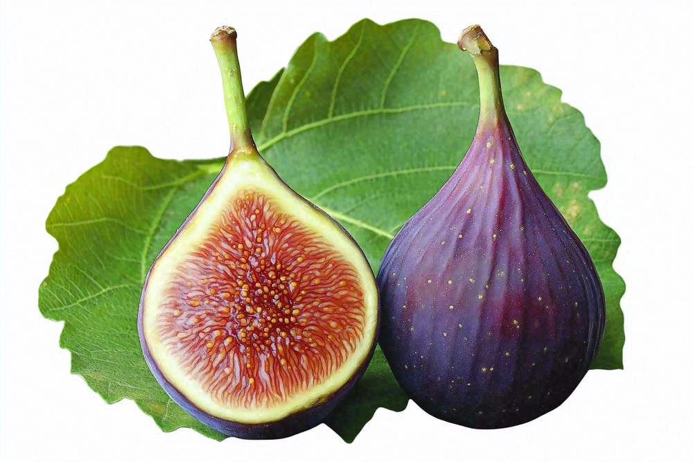 无花果水果摄影图