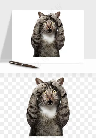 猫咪喵星人狗狗宠物元素png免抠