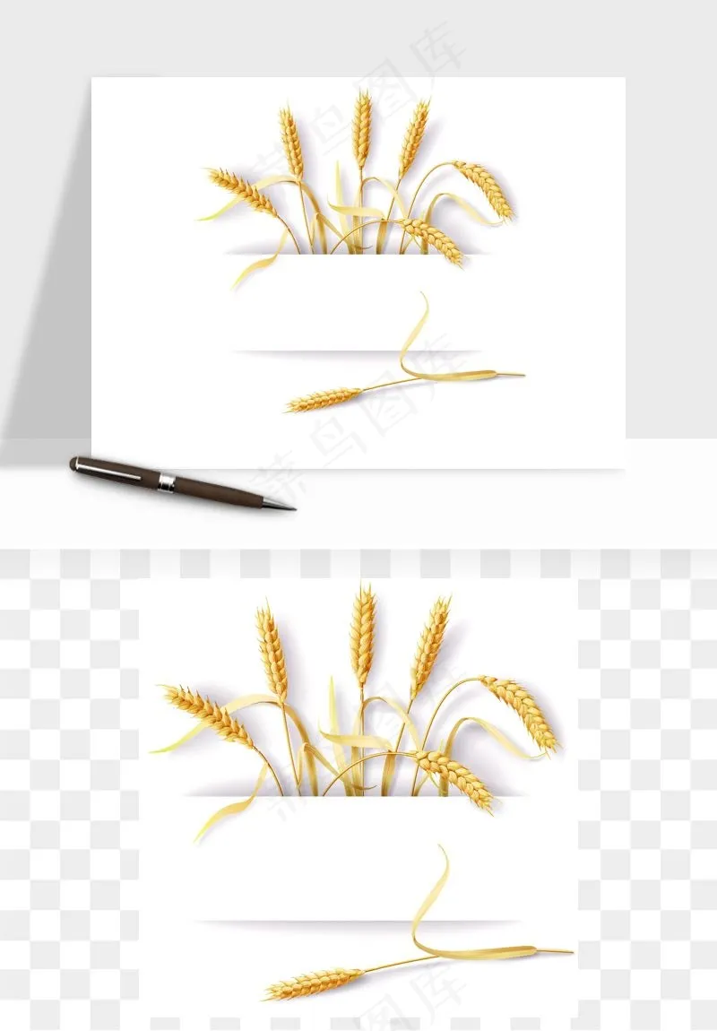 手绘麦穗稻穗麦秆矢量png免抠