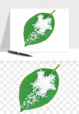 五谷粮食大豆png免抠图