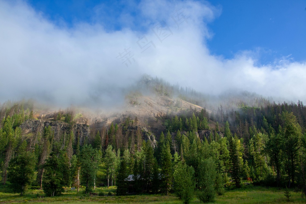 静谧山林：写实风格自然风景摄影