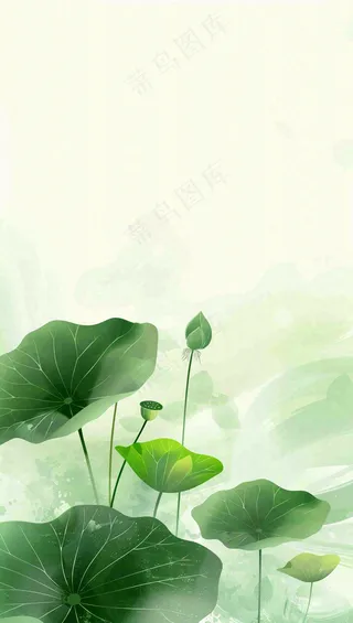 夏天荷花荷叶清凉小清新淡雅立夏夏至暑插画背景