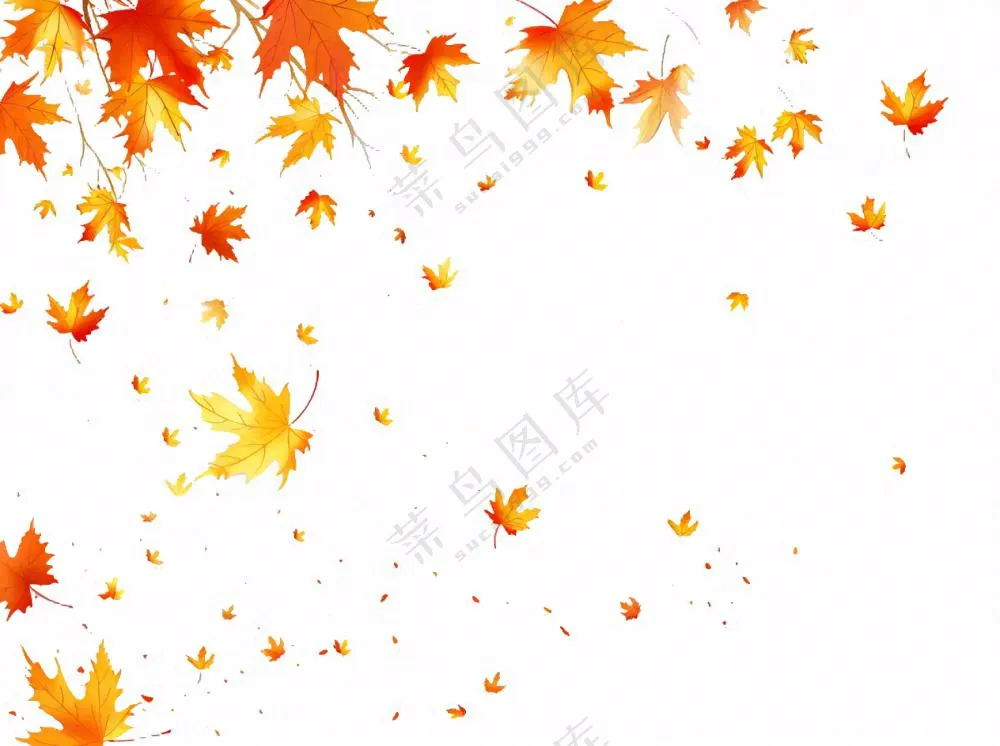 秋天红色枫叶飘落插画免抠