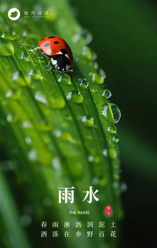 雨水手机海报