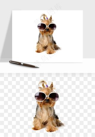 猫咪喵星人狗狗宠物元素png免抠