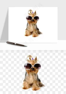 猫咪喵星人狗狗宠物元素png免抠 猫咪喵星人狗狗宠物元素png免抠