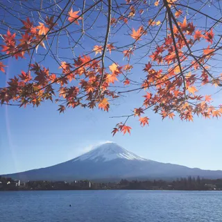 富士山秋日的宁静美景