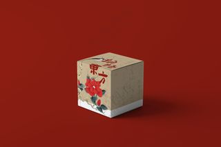 文创纸盒 包装盒 方形国潮盒子周边样机