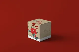 文创纸盒 包装盒 方形国潮盒子周边样机