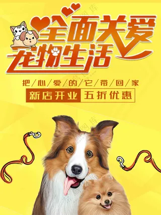 暖色关爱宠物海报