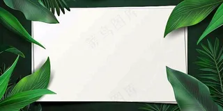 绿叶粽叶绿色边框白色信封端午节插画背景