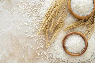 世界粮食日谷物米饭稻谷小麦摄影图