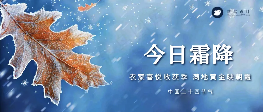 霜降公众号首图