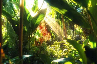 热带植物园绿植摄影图