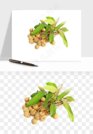 龙眼桂圆水果png免抠