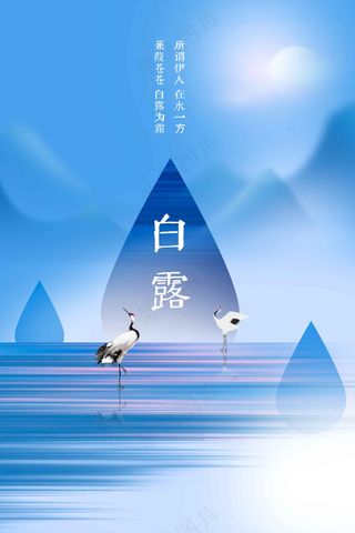 白露节气传统活动海报