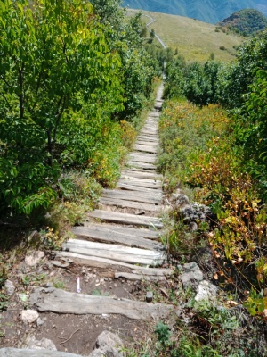 青山 绿野