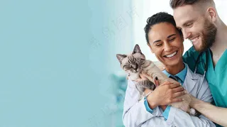 宠物医院猫狗生病救治摄影图