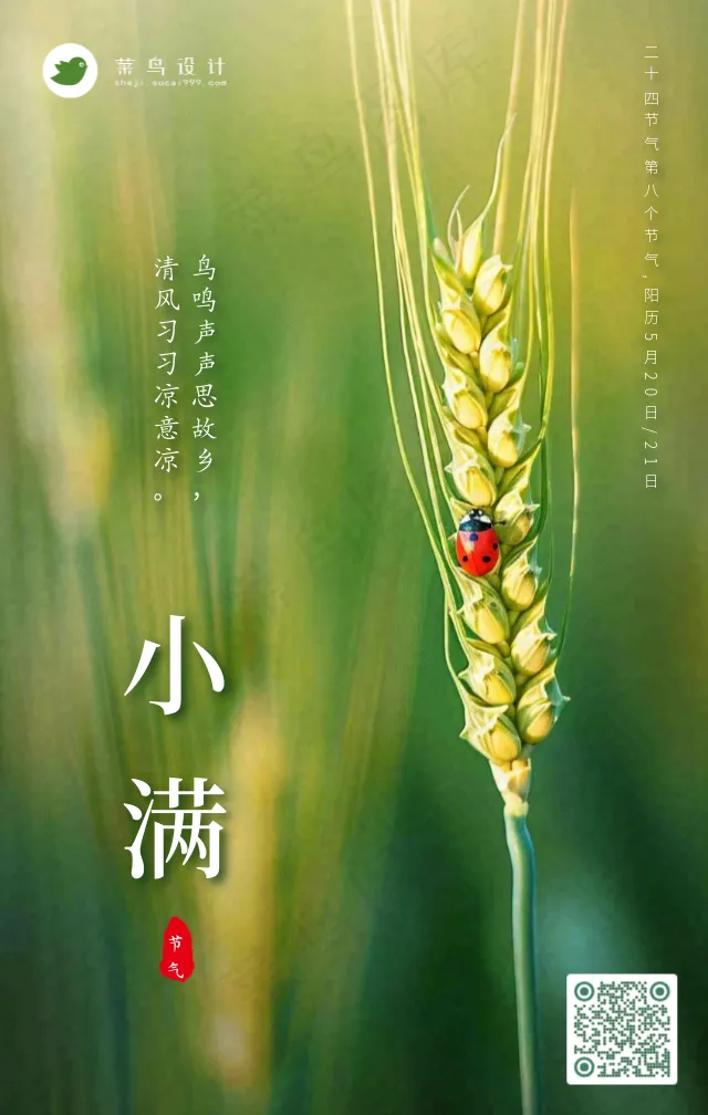 小满手机海报