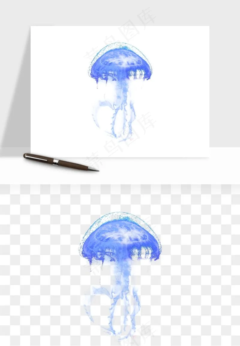 水母章鱼海底生物png免抠图