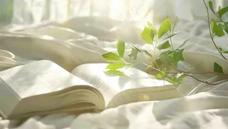 阳光下翻开的书本知识阅读世界读书日摄影图