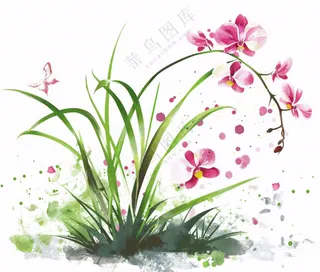 兰花粉色吊兰蝴蝶水墨画插画免抠