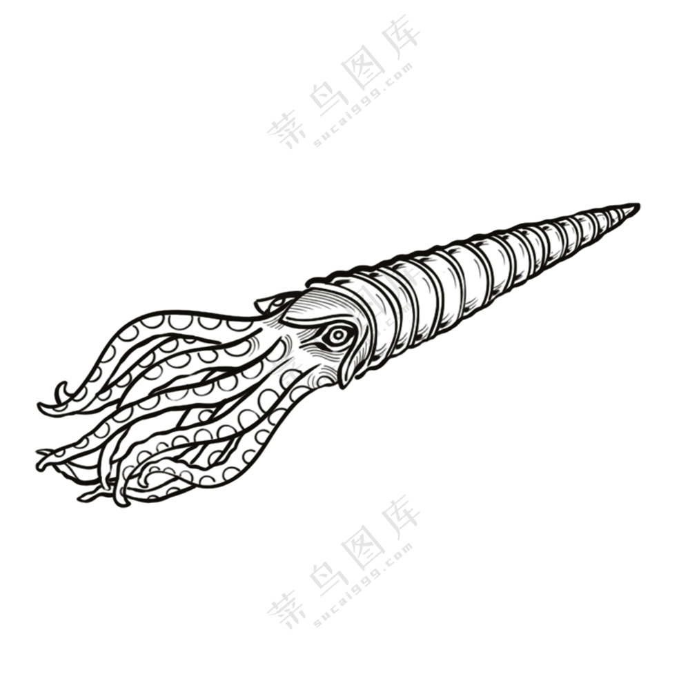 房角石-古海洋生物/线稿/卡通