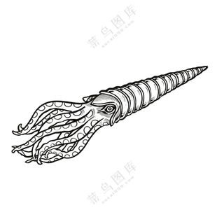 房角石-古海洋生物/线稿/卡通