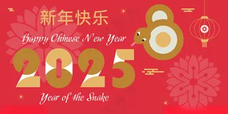 蛇年20252025插画