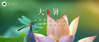 大暑公众号首图