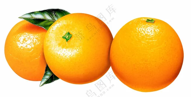 水果橘子图片 (2)