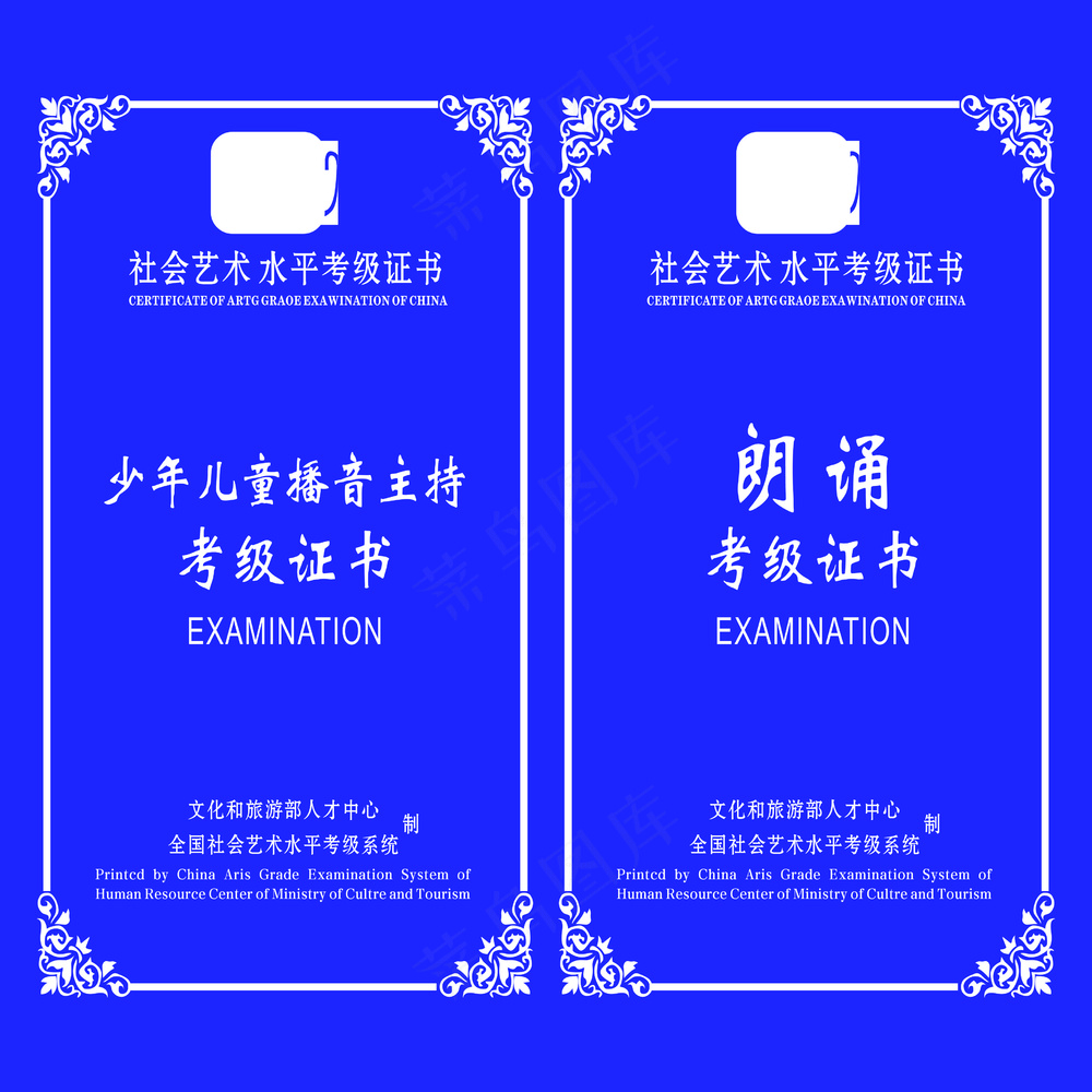 社会艺术水平考级证书